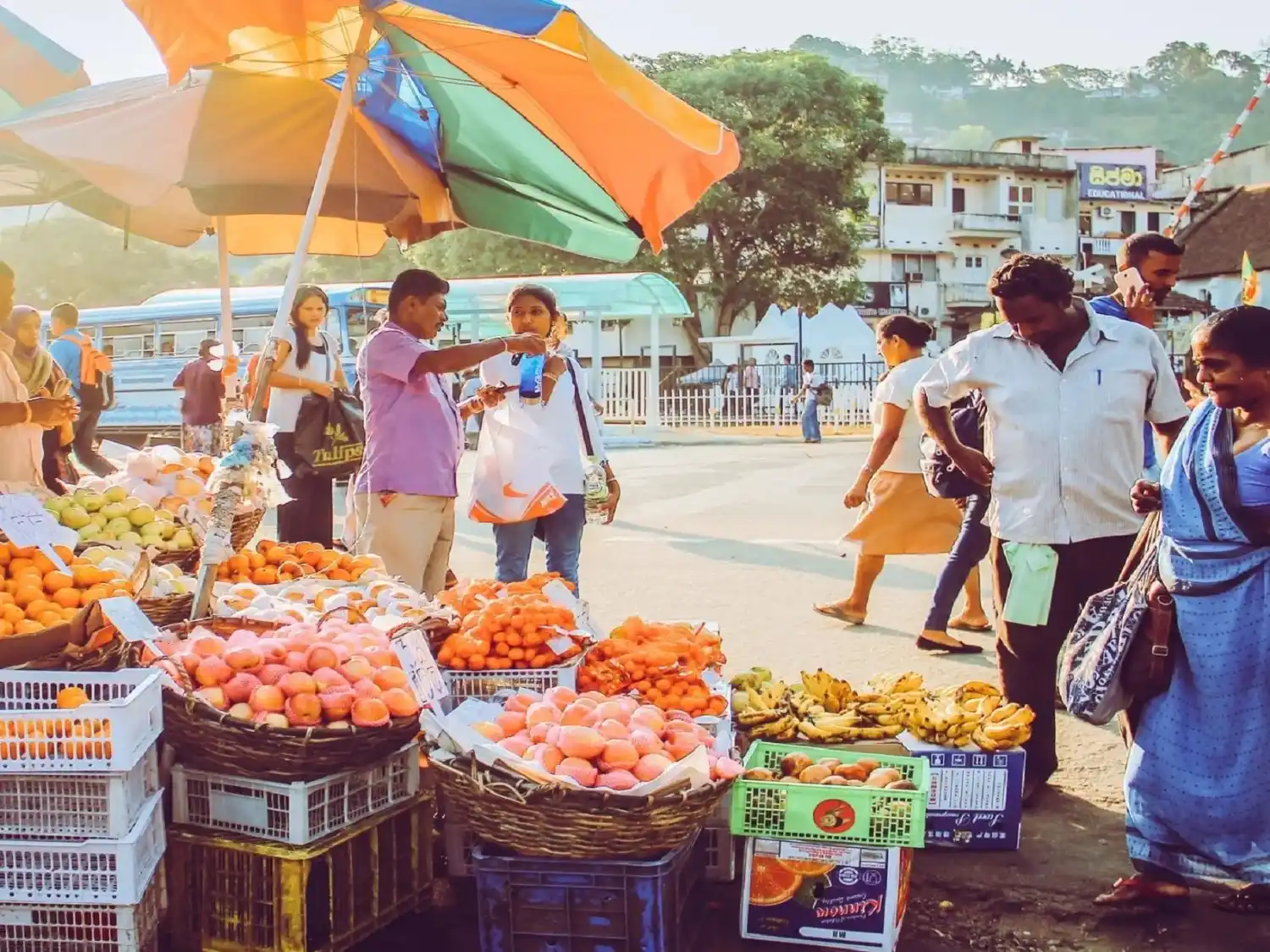 Grand Ceylon Expedition