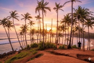 Southern Beach Escape